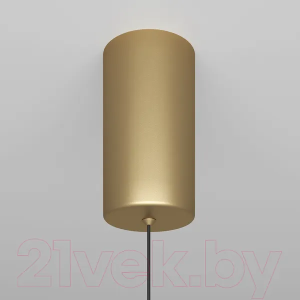 Изображение товара Потолочный светильник Maytoni Ray P022PL-L20G3K