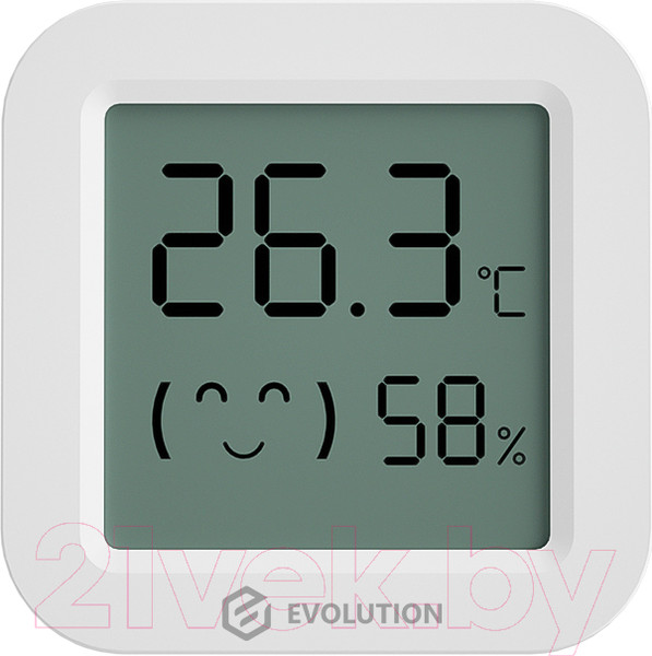 Изображение товара Термогигрометр Evolution HTB1