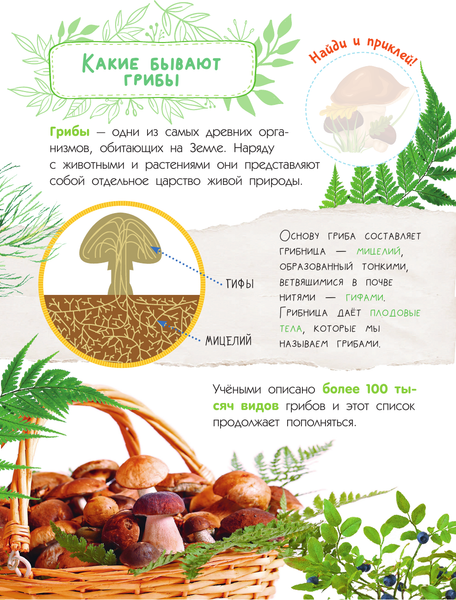 Изображение товара Энциклопедия АСТ Грибы (Тихонов Александр)