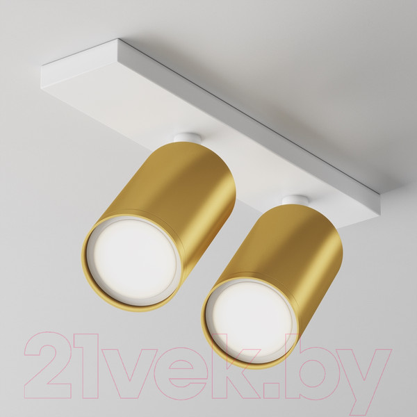 Изображение товара Спот Maytoni Focus S C051CL-U-2WMG