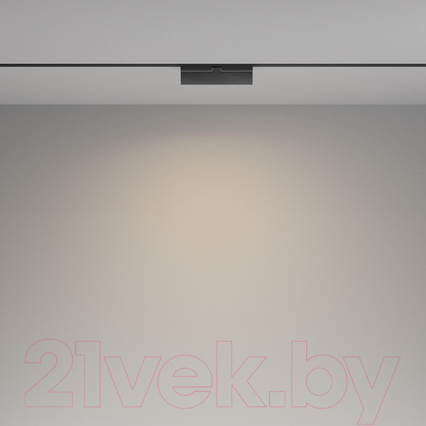 Изображение товара Трековый светильник Maytoni Basis Rot TR036-2-12W4K-B
