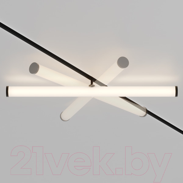 Изображение товара Трековый светильник Maytoni Larc TR086-2-25W3K-B