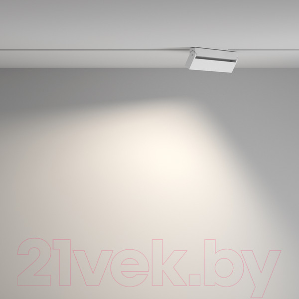 Изображение товара Трековый светильник Maytoni Points Rot TR077-2-20W4K-W