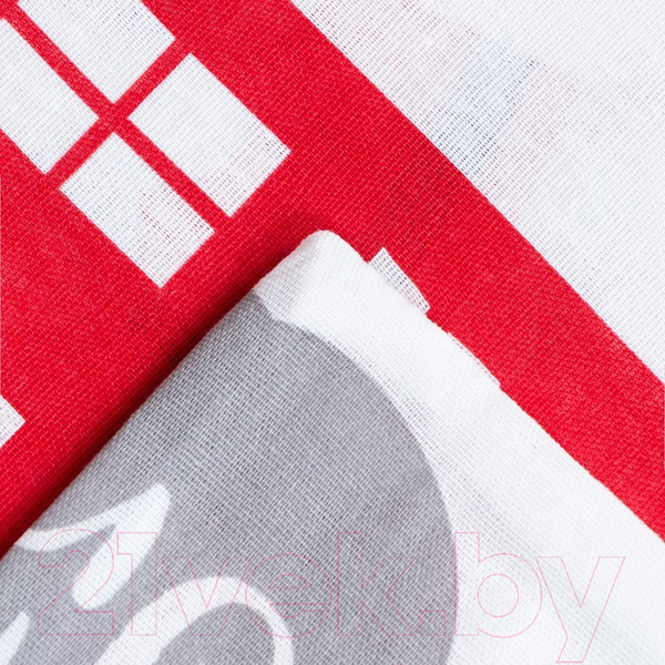 Изображение товара Комплект постельного белья Этель Christmas Day / 7655007