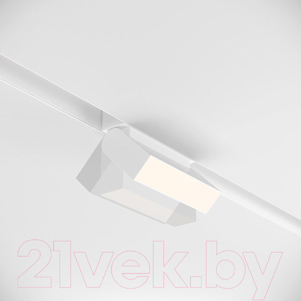 Изображение товара Трековый светильник Maytoni Basis Rot TR075-2-10W4K-W