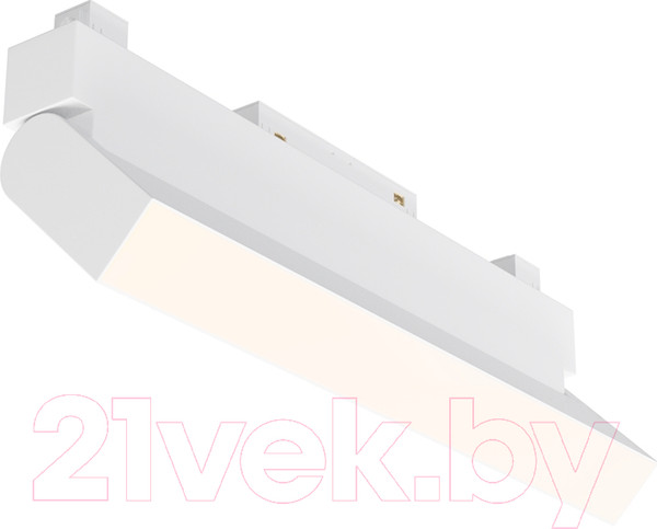 Изображение товара Трековый светильник Maytoni Basis Rot TR075-2-20W4K-W
