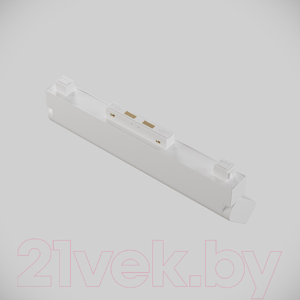 Изображение товара Трековый светильник Maytoni Basis Rot TR075-2-20W4K-W