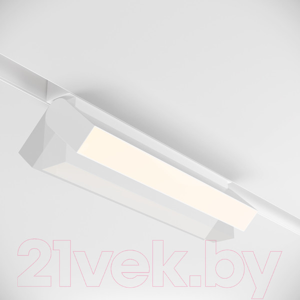 Изображение товара Трековый светильник Maytoni Basis Rot TR075-2-20W4K-W