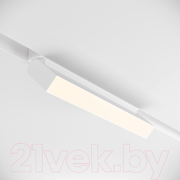 Изображение товара Трековый светильник Maytoni Basis Rot TR075-2-20W4K-W