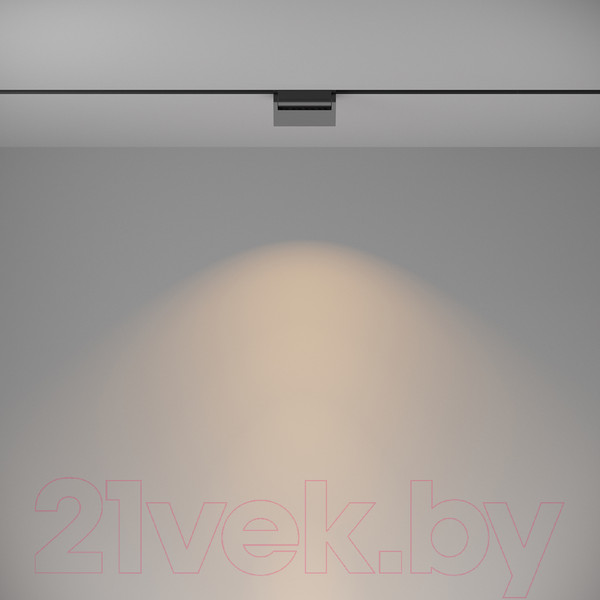 Изображение товара Трековый светильник Maytoni Basis Rot TR075-2-10W3K-B