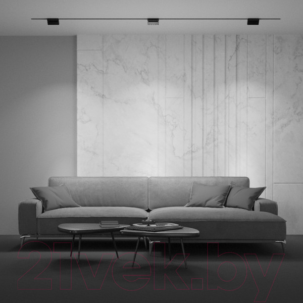 Изображение товара Трековый светильник Maytoni Basis Rot TR075-2-10W3K-B