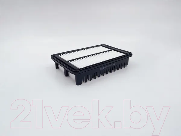 Изображение товара Воздушный фильтр BIG Filter GB-95095PL