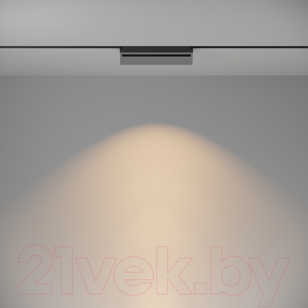 Изображение товара Трековый светильник Maytoni Basis Rot TR075-2-20W3K-B