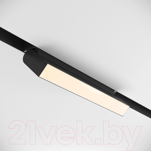 Изображение товара Трековый светильник Maytoni Basis Rot TR075-2-20W3K-B