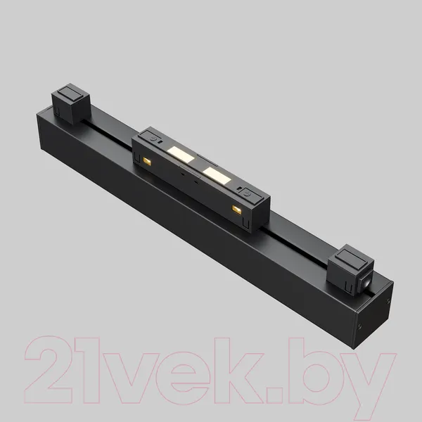 Изображение товара Трековый светильник Maytoni Points TR076-2-20W4K-B