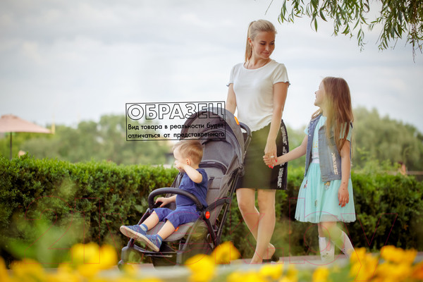 Изображение товара Детская прогулочная коляска Xo-kid Sitis (Brown)