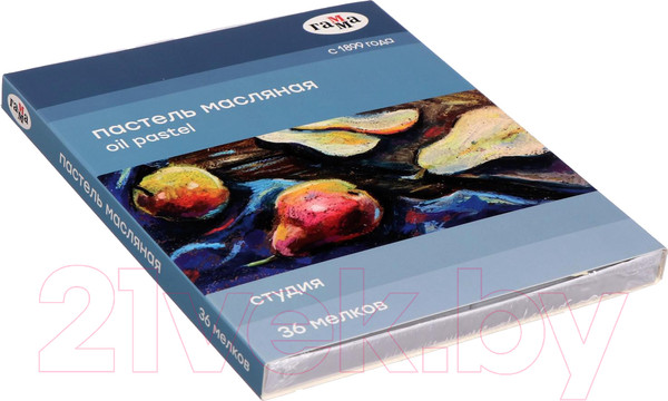 Изображение товара Набор масляной пастели ГАММА Студия / 160320207 (36цв)