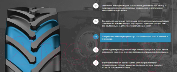 Изображение товара Сельскохозяйственная шина Petlas TA-130 Agroper 650/75R32 172A8/172B Reinforced