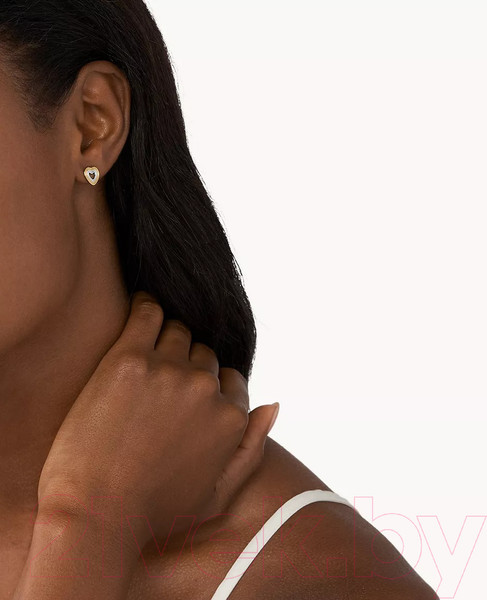 Изображение товара Серьги Skagen SKJ1677998