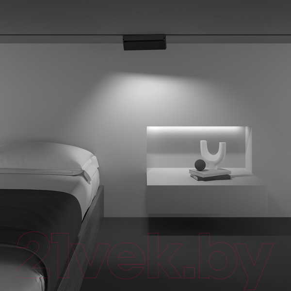 Изображение товара Трековый светильник Maytoni Points Rot TR077-2-20W3K-B