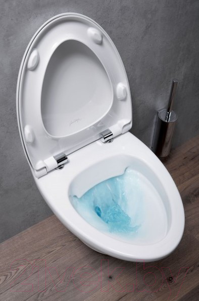 Изображение товара Унитаз подвесной Jacob Delafon Nouvelle Vague EDJ102-00