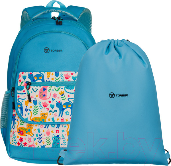 Изображение товара Школьный рюкзак Torber Class X / T2743-23-Gr (зеленый)