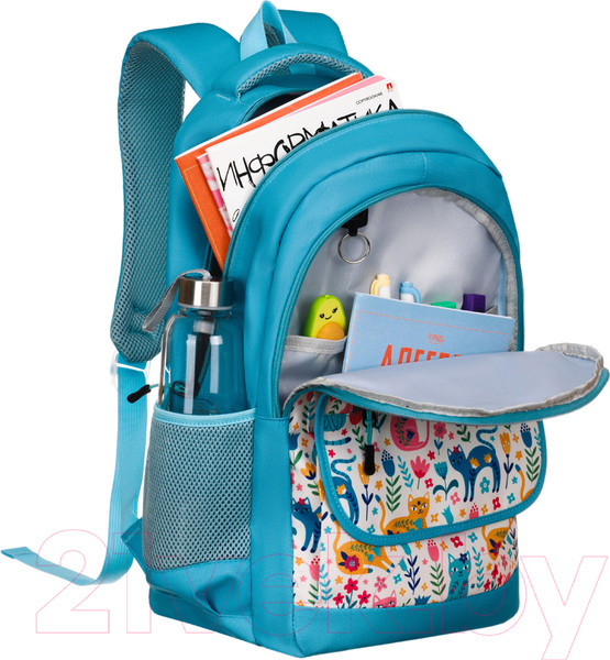 Изображение товара Школьный рюкзак Torber Class X / T2743-23-Gr (зеленый)