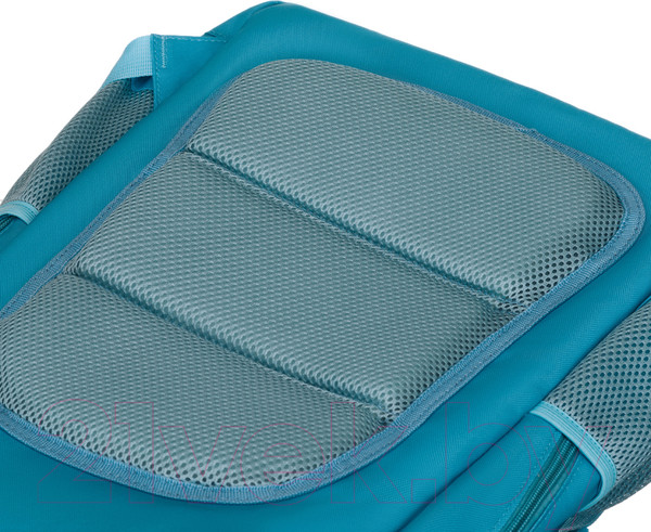 Изображение товара Школьный рюкзак Torber Class X / T2743-23-Gr (зеленый)