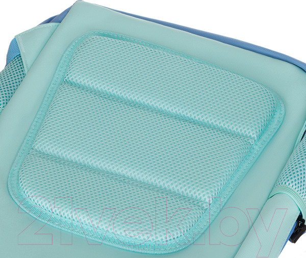 Изображение товара Школьный рюкзак Torber Class X Mini / T1801-23-Grn (зеленый)