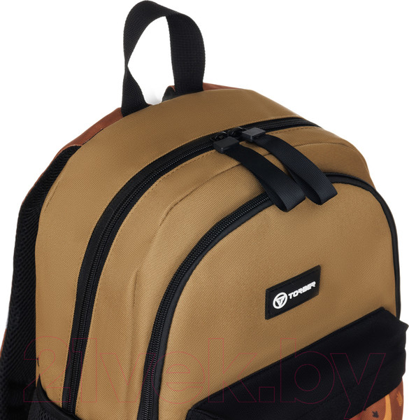 Изображение товара Школьный рюкзак Torber Class X Mini / T1801-23-Kha (хаки)