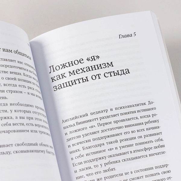 Изображение товара Книга Альпина Чувство стыда: Как перестать бояться быть неправильно восприняты (Нисбетт Ричард, мягкая обложка)