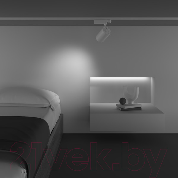 Изображение товара Трековый светильник Maytoni Vuoro TR029-3-20W4K-M-W