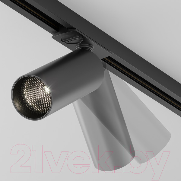 Изображение товара Трековый светильник Maytoni Focus LED TR021-1-12B4K-W-D-B
