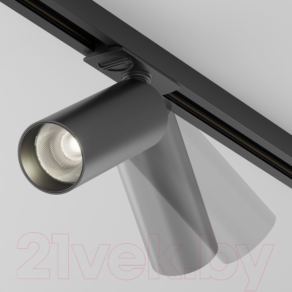 Изображение товара Трековый светильник Maytoni Focus LED TR021-1-12B4K-W-D-B