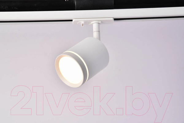 Изображение товара Трековый светильник Maytoni Orlo TR085-1-5W4K-W