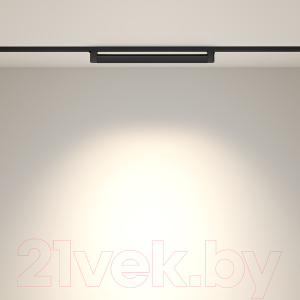 Изображение товара Трековый светильник Maytoni Points TR010-1-20W4K-M-B