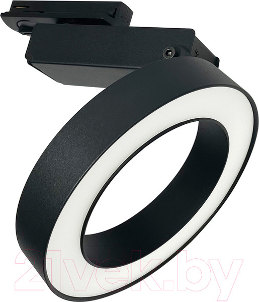 Изображение товара Трековый светильник Maytoni Rim TR044-1-12W3K-B