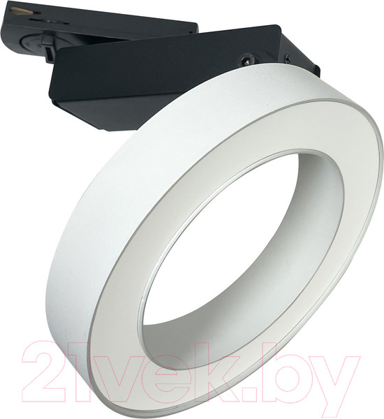 Изображение товара Трековый светильник Maytoni Rim TR044-1-12W4K-W