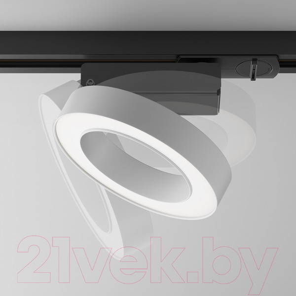 Изображение товара Трековый светильник Maytoni Rim TR044-1-12W4K-W