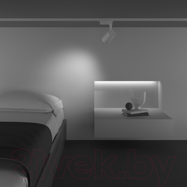 Изображение товара Трековый светильник Maytoni Vuoro TR003-1-10W3K-M-W