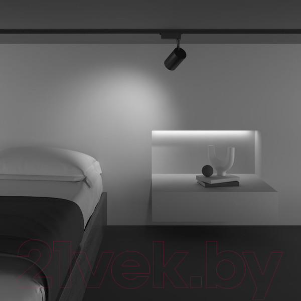 Изображение товара Трековый светильник Maytoni Vuoro TR003-1-10W3K-W-B