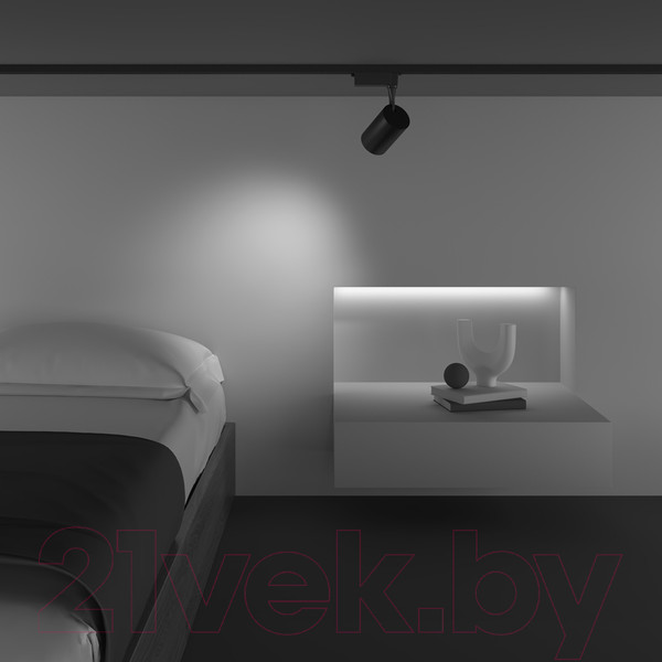 Изображение товара Трековый светильник Maytoni Vuoro TR003-1-10W4K-M-B