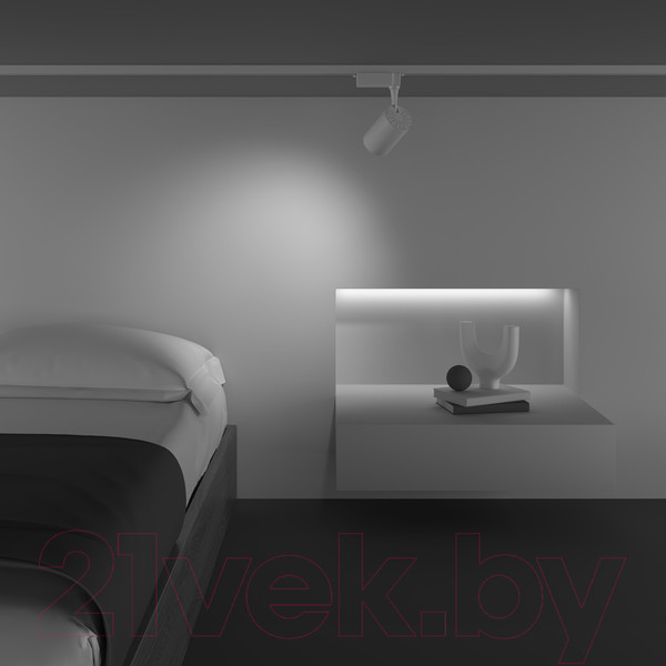 Изображение товара Трековый светильник Maytoni Vuoro TR003-1-10W4K-W-W