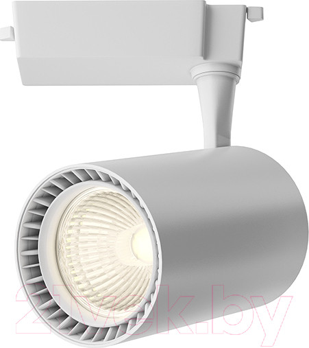 Изображение товара Трековый светильник Maytoni Vuoro TR003-1-15W3K-M-W