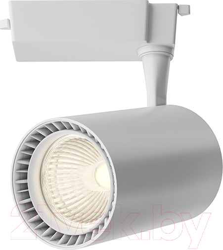 Изображение товара Трековый светильник Maytoni Vuoro TR003-1-26W3K-W-W