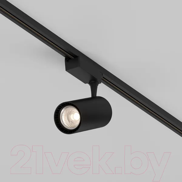 Изображение товара Трековый светильник Maytoni Vuoro TR003-1-36W3K-M-B