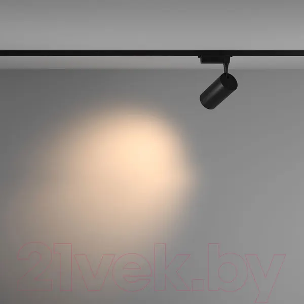 Изображение товара Трековый светильник Maytoni Vuoro TR003-1-36W3K-M-B