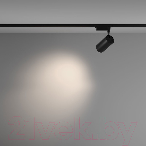 Изображение товара Трековый светильник Maytoni Vuoro TR003-1-36W4K-M-B