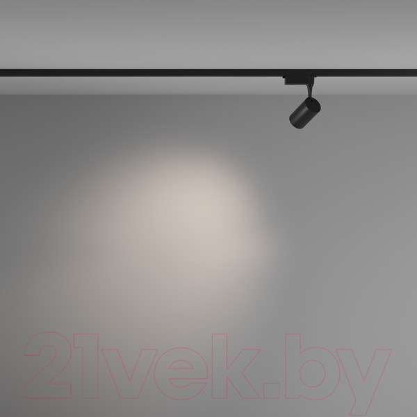 Изображение товара Трековый светильник Maytoni Vuoro TR003-1-6W4K-M-B