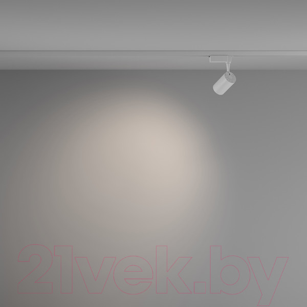 Изображение товара Трековый светильник Maytoni Vuoro TR003-1-6W4K-W-W